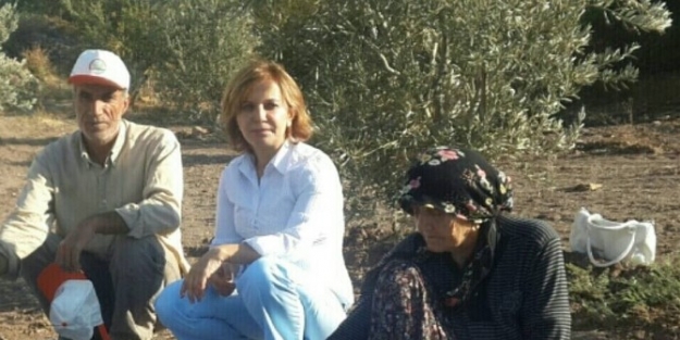 Horoz Karası Üzümler Kurutuluyor