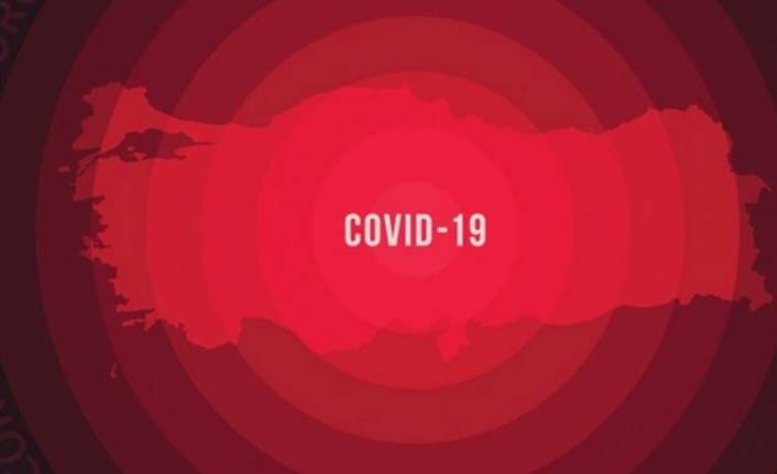 Türkiye'nin ilk koronavirüs raporu yayınlandı!