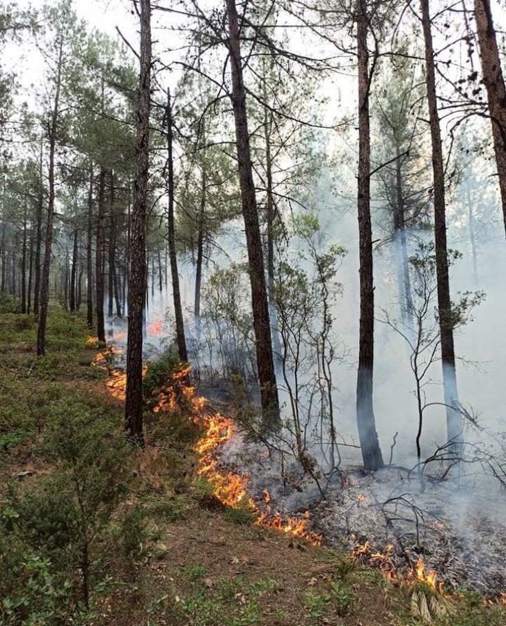 Bursa korkutan örtü yangını