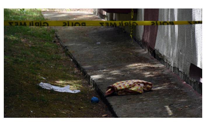 Korkunç olay! Site bahçesinde bebek cesedi bulundu