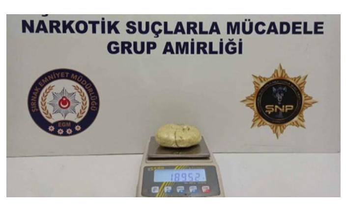 Kaçakçılık operasyonu: 24 gözaltı