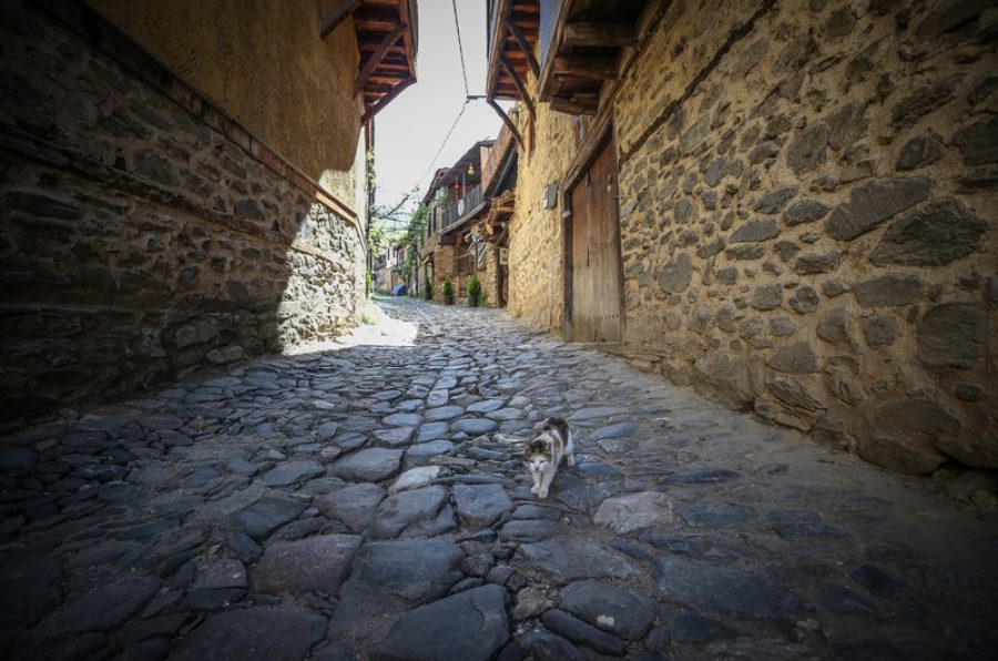 Bursa'nın yedi asırlık Osmanlı köyünde "sessiz" günler