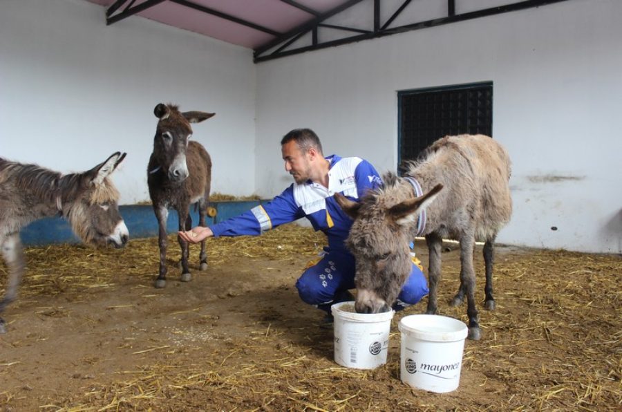 Tüm Türkiye'nin içini parçalamıştı! Artık Bursa'da yeni yuvasında!