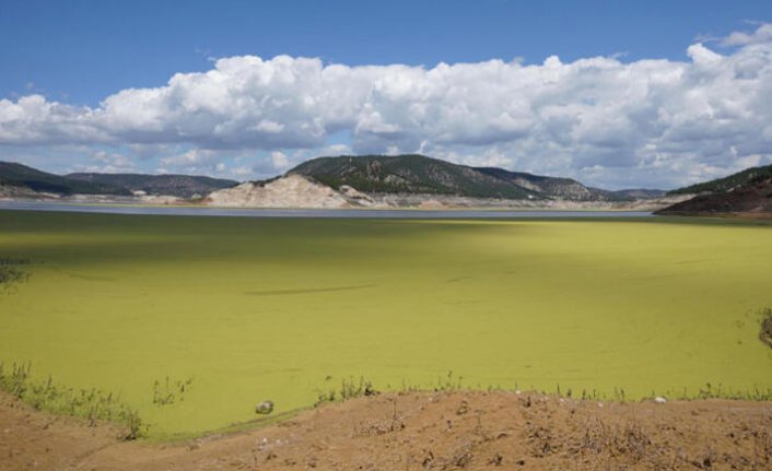 Ürküten görüntü! ‘İlk kez böyle bir şey gördük…’