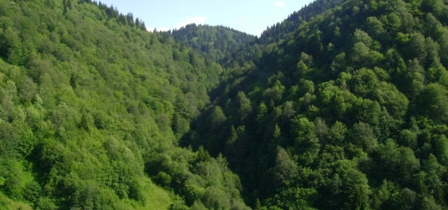 Osmaniye'de ölü bebek şoku!