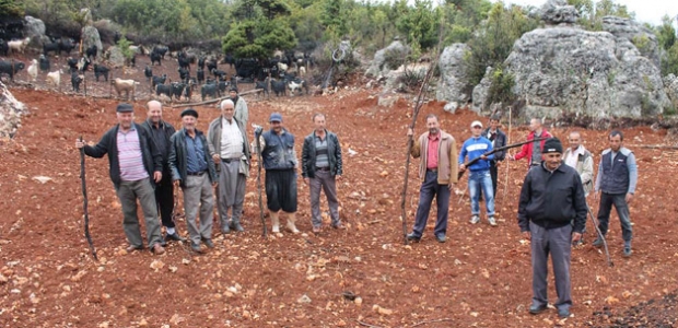 4 boynuzlu yılan Mersin'i ayağa dikti!