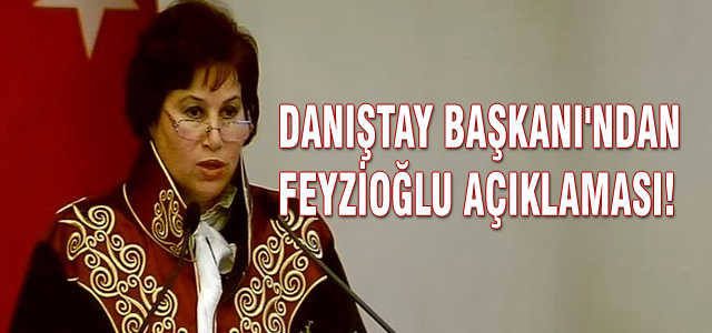 Danıştay Başkanı'ndan Feyzioğlu açıklaması