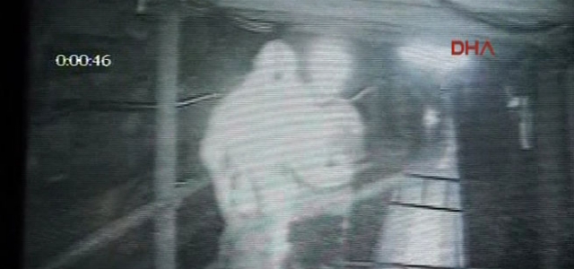 Ölümden böyle kurtuldular