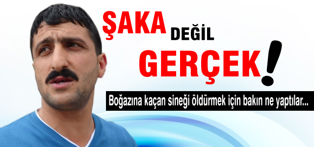 Boğazına kaçan sineği öldürmek için öyle bir şey yaptılar ki...
