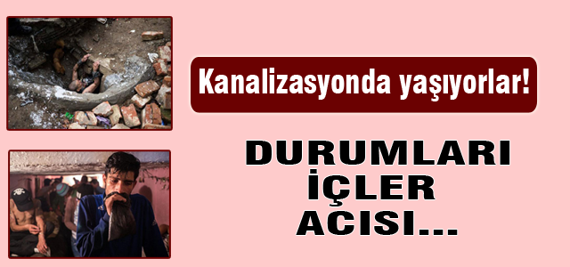 Kanalizasyondaki yaşam mücadelesi!