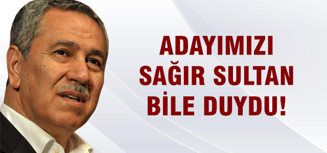 Bülent Arınç'tan cumhurbaşkanı adayı açıklaması