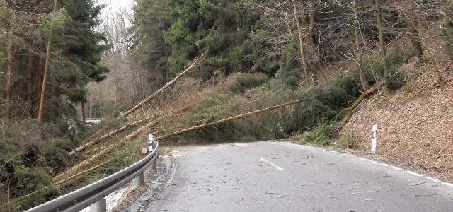 Almanya'da fırtına felaketi!