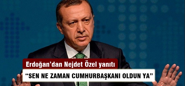 Erdoğan: Nejdet Özel'in istifasını isteyeceğine...