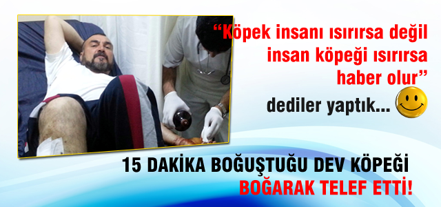 Dev köpeği boğarak öldürdü!