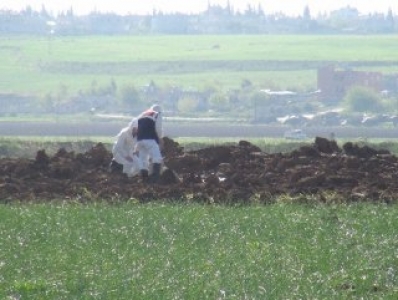 Hatay'a 3 top mermisi düştü!