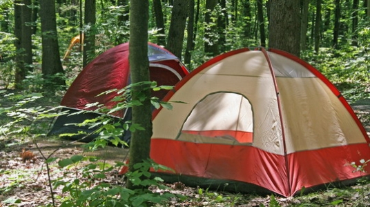 Fırtına festivalde yakaladı: 10 ölü