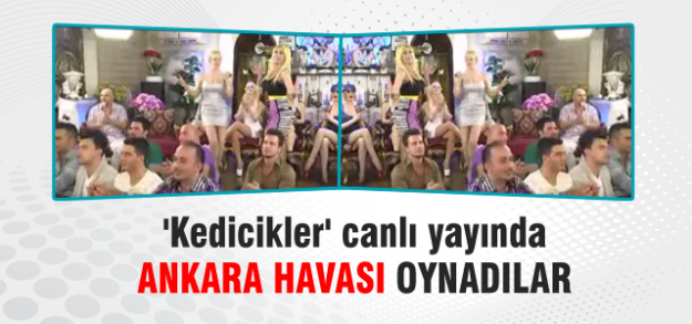 Adnan Hoca'nın kedicikleri Ankara havası oynadı