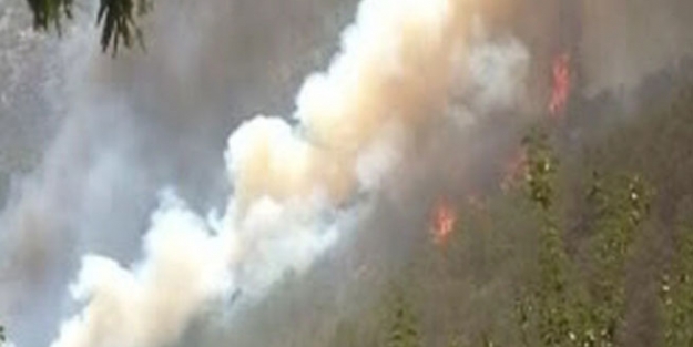 Antalya'da orman yangını!