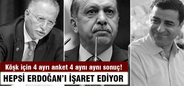 4 araştırma şirketi 'Erdoğan ilk turda Çankaya'da' dedi