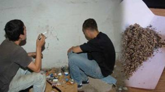 'Bonzai çocukları fare gibi öldürüyor'