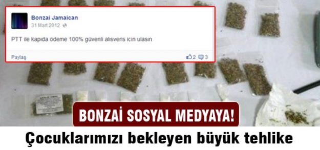 Bonzai sosyal medyada!