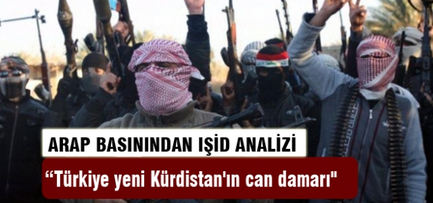Arap basınından IŞİD analizi