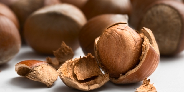 Türkiye'nin fındık devi Nutella'ya satılıyor