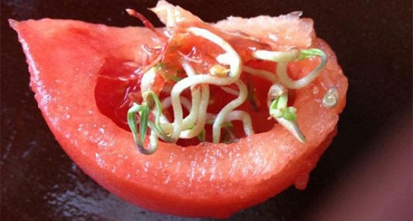 Domatesten öyle bir şey çıktı ki!