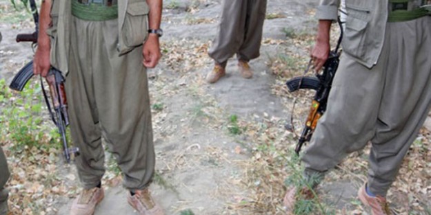 TİKKO Tunceli'de araç yaktı!