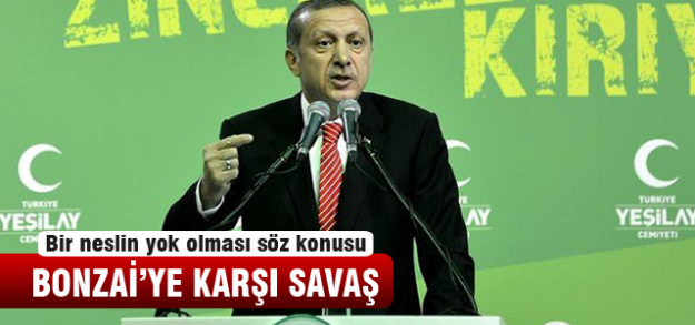 Başbakan Erdoğan'dan Bonzai açıklaması