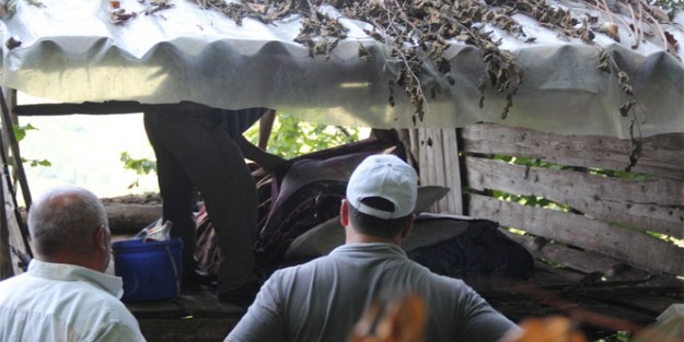 Bağ evinde Şüpheli ölüm!