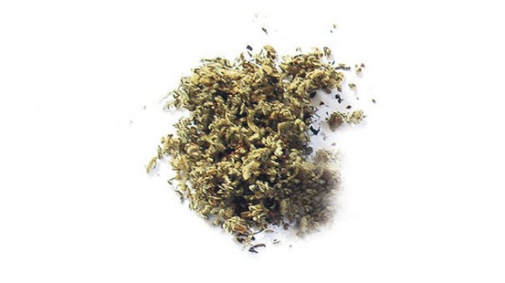 Bonzai ihbar edene piyango!