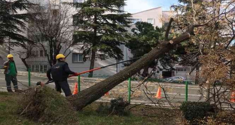 Bursa'da şiddetli lodosun etkisi sürüyor