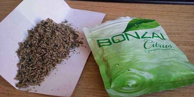 Bonzai için 5 bakan görüştü