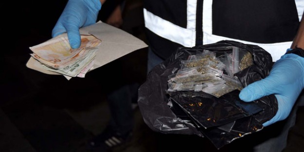 Beyoğlu'nda bonzai baskını