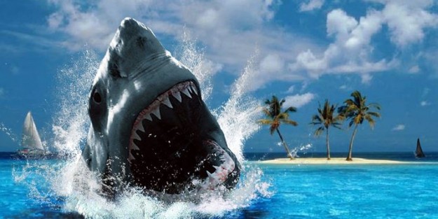 Köpek balığı alarmı plaj kapattırdı!