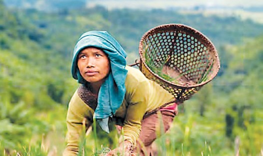 Kadınlar tarlaya indi ,işsizlik azaldı