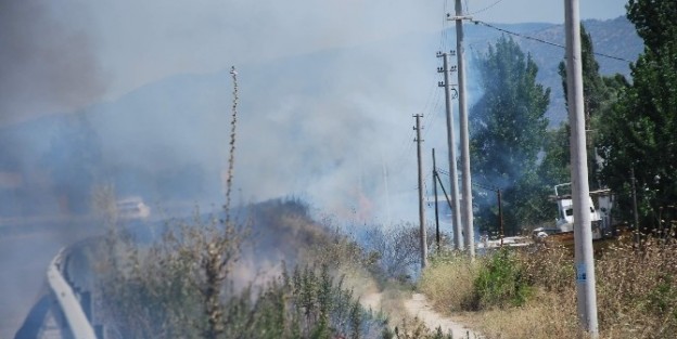 En Fazla Yangın Yol Kenarında Ve Sigaradan Çikiyor