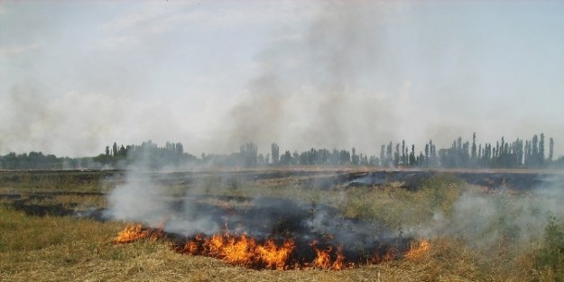 Iğdir’da Anız Yakmadaki Riske Dikkat Çekildi