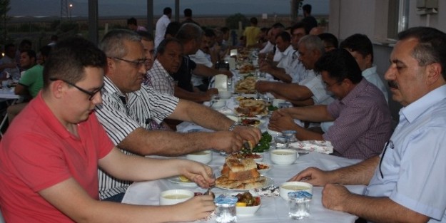 Alaşehir'de Üzüm Rekoltesi Yüksek Bekleniyor