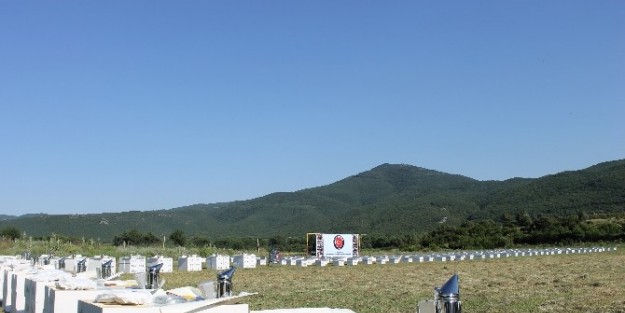 Doğu Makedonya Valandova Bölgesindearıcılara Destek