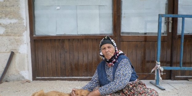 Dilenci Kadının Köpek Sevgisi