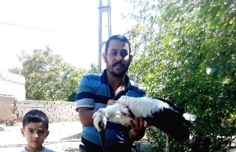 Yuvasından Düşen Yavru Leylek Korumaya Alındı