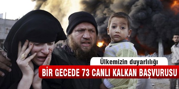 Bir gecede 73 canlı kalkan başvurusu