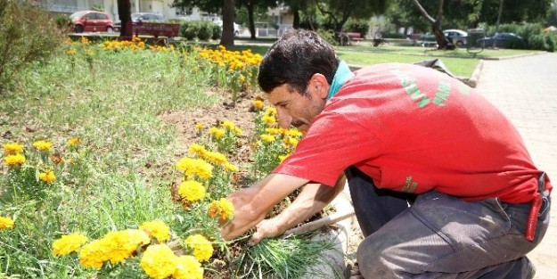 Karşıyaka Çiçek Açtı