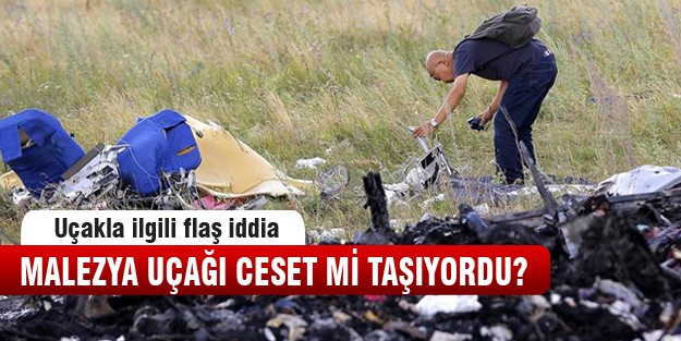 Malezya uçağını illuminati mi düşürdü?