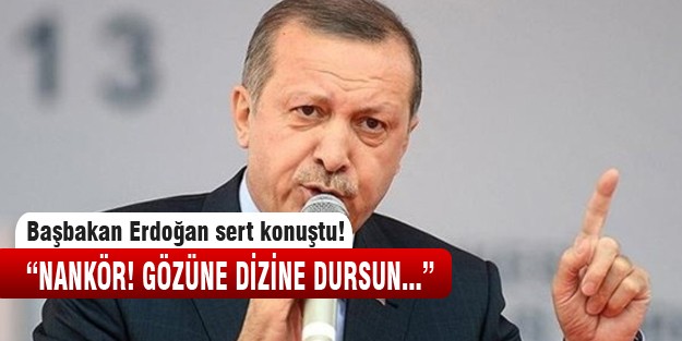 Başbakan; "Nankör, gözüne dizine dursun!"