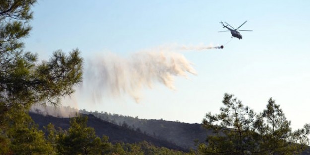 Orman yangınında sabotaj iddiası!