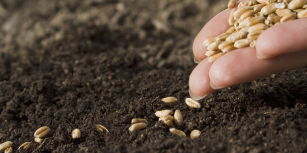 İsrail'in tohum projesi yerle bir olacak!