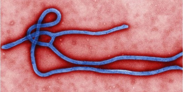 Dünya'da Ebola alarmı